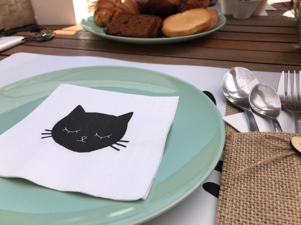 Il Gatto Stanco B&B 阿罗纳 外观 照片