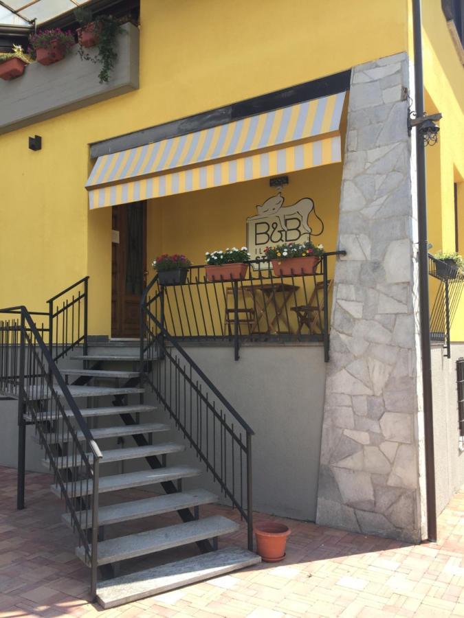 Il Gatto Stanco B&B 阿罗纳 外观 照片