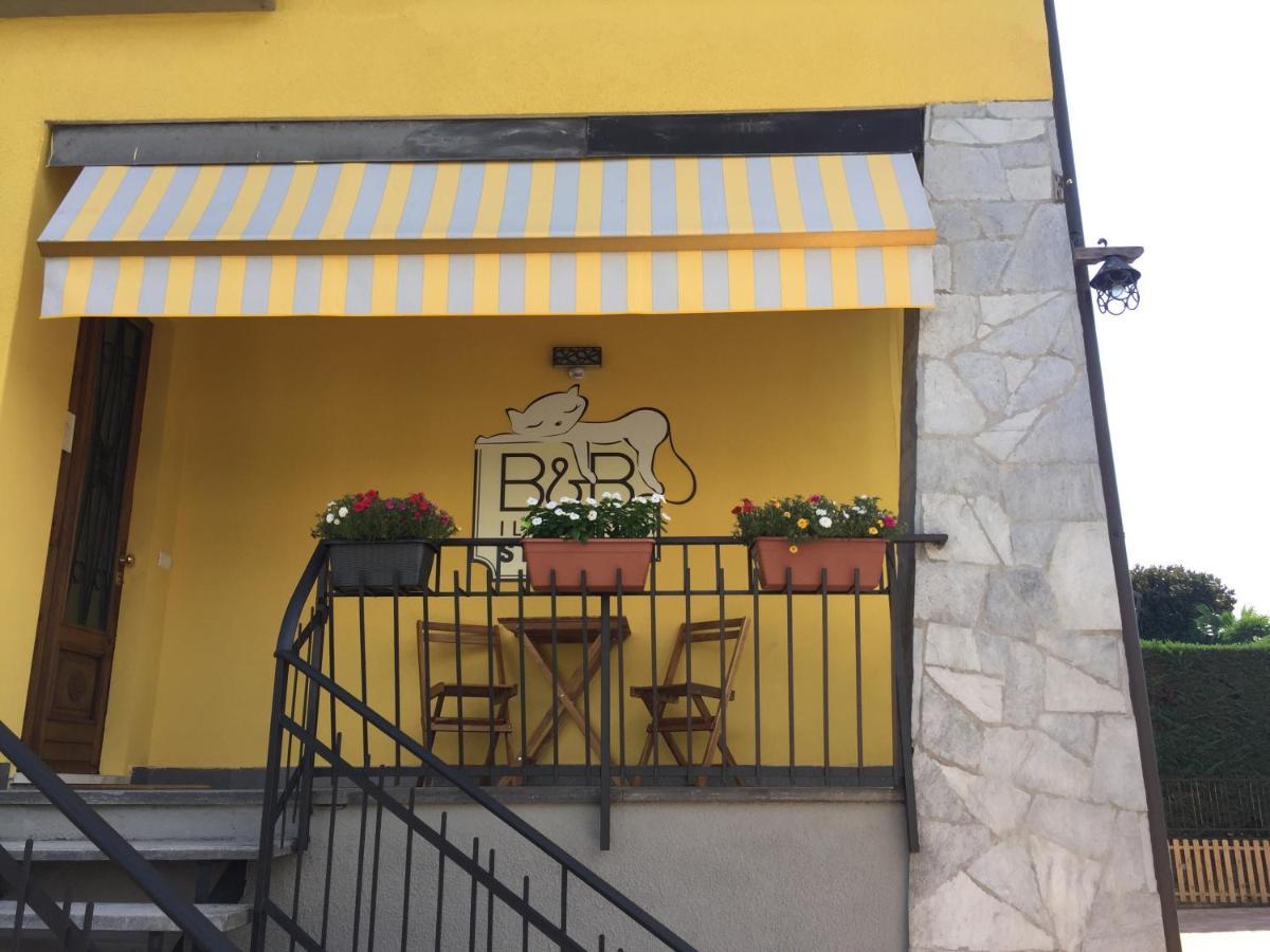 Il Gatto Stanco B&B 阿罗纳 外观 照片